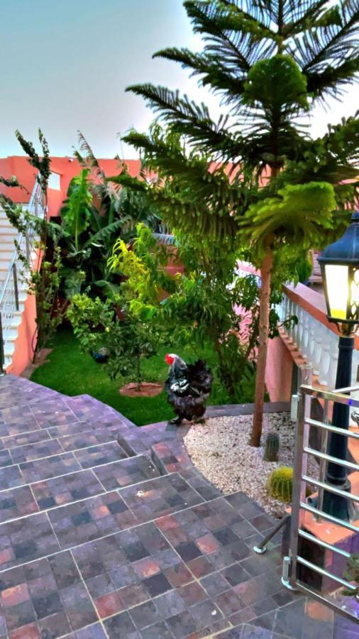 Riad Dar Salam Hotel Agadir Buitenkant foto